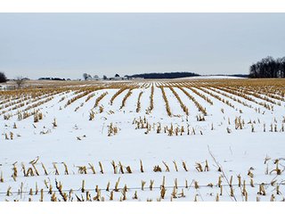 Property photo 2 - AUCTION, 206 Contiguous Acres offered in 5 Tracts